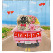 Rideaux De Douche Pekingese Chien Valentine's Day Truck Throw (Devant)