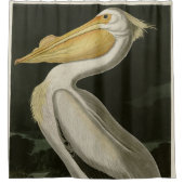 Rideaux De Douche Pélican blanc américain, les oiseaux d'Amérique d' (Devant)