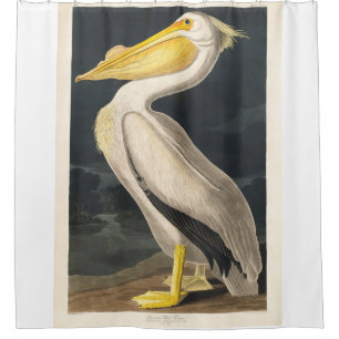 Rideaux De Douche Pélican blanc d'Amérique audubon abattu