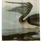 Rideaux De Douche Pélican Brown du spectacle Oiseaux d'Amérique d'Au (Devant)