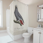 Rideaux De Douche Perroquet gris, Psittacus erithacus, vintage (En situation)