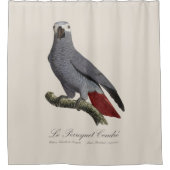 Rideaux De Douche Perroquet gris, Psittacus erithacus, vintage (Devant)