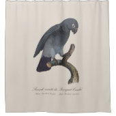 Rideaux De Douche Perroquet gris Timneh, Psittacus Timneh (Devant)