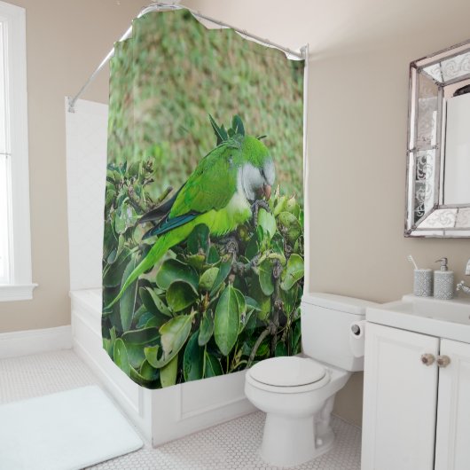 Rideaux De Douche Perroquet vert (En situation)