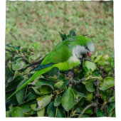Rideaux De Douche Perroquet vert (Devant)