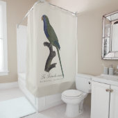 Rideaux De Douche Perruche Moine, Myiopsitta Monachus (En situation)
