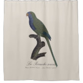 Rideaux De Douche Perruche Moine, Myiopsitta Monachus (Devant)