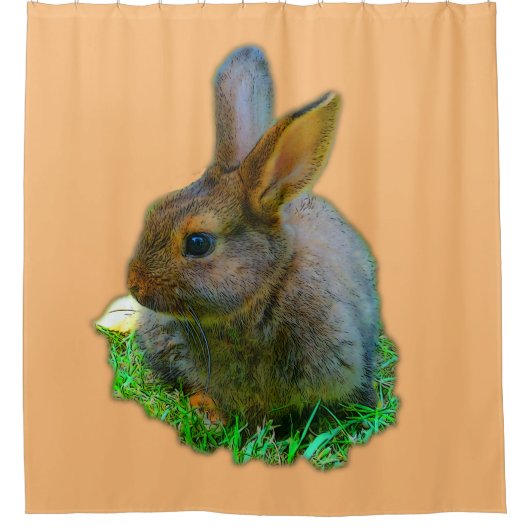 Rideaux De Douche Petit Lapin (Devant)
