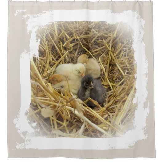 Rideaux De Douche petit poulet (Devant)