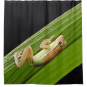 Rideaux De Douche Petite Grenouille Sur Une Feuille (Devant)