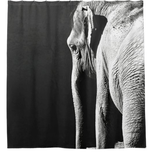 RIDEAUX DE DOUCHE PHOTO À ÉCHELLE GRIS DE L'ÉLÉPHANT (Devant)