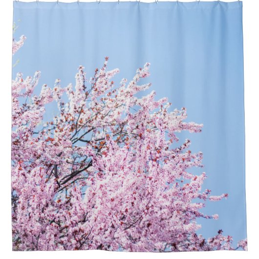 RIDEAUX DE DOUCHE PHOTO DE CHERRY BLOSSOM TREE (Devant)