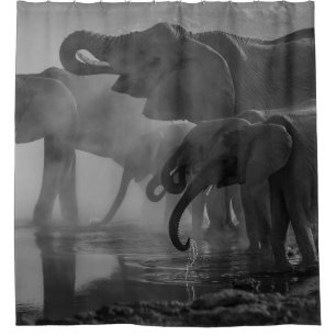RIDEAUX DE DOUCHE PHOTO GRAYSCALE D'ÉLÉPHANTS EN EAU POTABLE