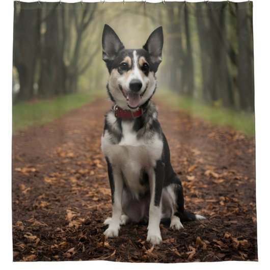 Rideaux De Douche Photo personnalisée Ajouter vos propres designs Ph (Devant)