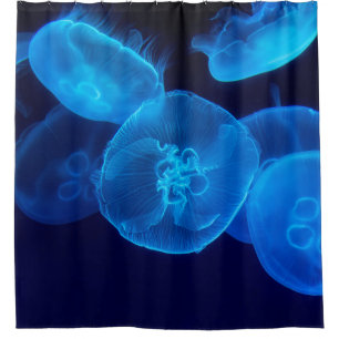 RIDEAUX DE DOUCHE PHOTOGRAPHIE DE CLOSEUP DE SWARM DE JELLYFISH