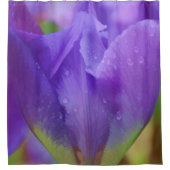 Rideaux De Douche Photographie pourpre élégante de tulipe (Devant)