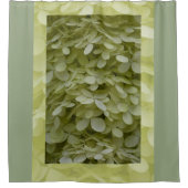 Rideaux De Douche Photos de Hydrangeas Celadon Green Blossoms (Devant)