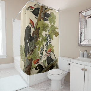 Rideaux De Douche Pic pilé d'Audubon Birds of America