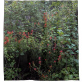 Rideaux De Douche Pinceau indien dans la forêt (Devant)