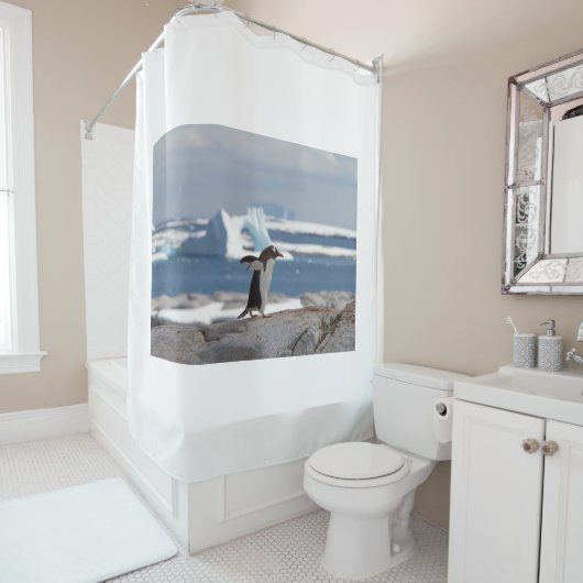 Rideaux De Douche Pingouin devant une arche de glace (En situation)