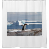 Rideaux De Douche Pingouin devant une arche de glace (Devant)