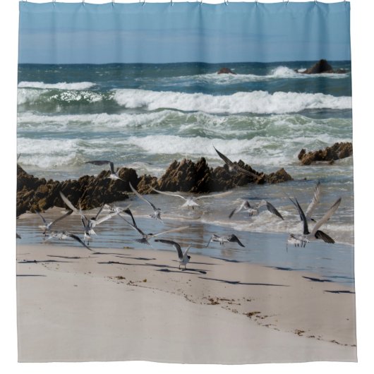 Rideaux De Douche Plage Sable Oiseaux Gulls Paradise Paysage (Devant)