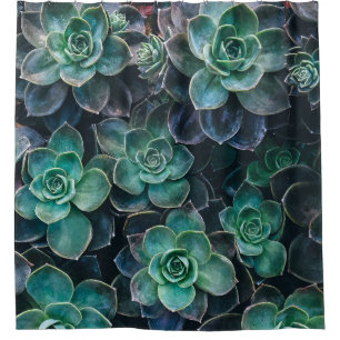 Rideaux De Douche Plantes succulents vert-bleu