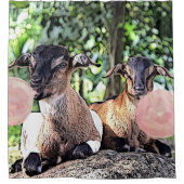 Rideaux De Douche Plus grand que la vie bébé Chèvres alpines avec Bu (Devant)