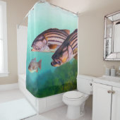 Rideaux De Douche Poisson de basse rayée de l'Atlantique (En situation)