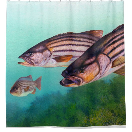 Rideaux De Douche Poisson de basse rayée de l'Atlantique (Devant)