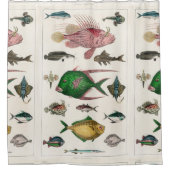 Rideaux De Douche poisson, océan, mignonne, mer, eau, animal, pêche (Devant)