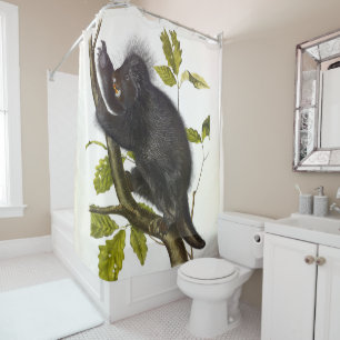 Rideaux De Douche Porcupine nord-américaine ou canadienne par Audubo
