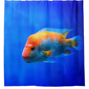 Rideaux De Douche Portrait de poisson tropical bleu frappant sous l'