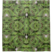 Rideaux De Douche Poules Et Poules Succulentes Abstraites (Devant)