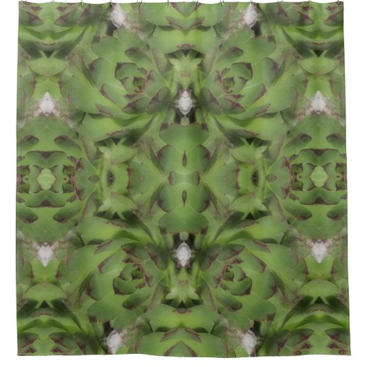 Rideaux De Douche Poules Et Poules Succulentes Abstraites (Devant)