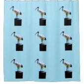 Rideaux De Douche Poulet À Bin, Peinture À Huile Ibis, (Devant)