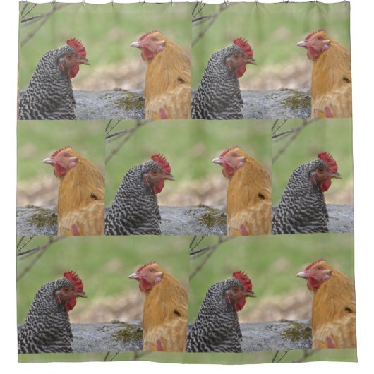 Rideaux De Douche Poulet amusant (Devant)