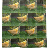 Rideaux De Douche Poulet de ferme (Devant)