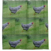 Rideaux De Douche Poulet du pays (Devant)