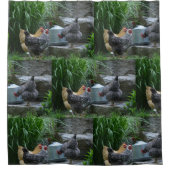 Rideaux De Douche Poulet Se Brisant Autour Du Glacière D'Eau (Devant)