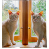 rideaux de douche pour chats Kate et Bobby chats B (Devant)
