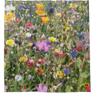Rideaux De Douche Pré fleur sauvage coloré, motif vibrant.