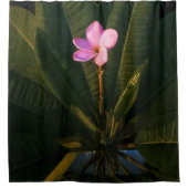 Rideaux De Douche Première floraison, Plumeria (Devant)