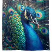 Rideaux De Douche Profil Peacock (Devant)
