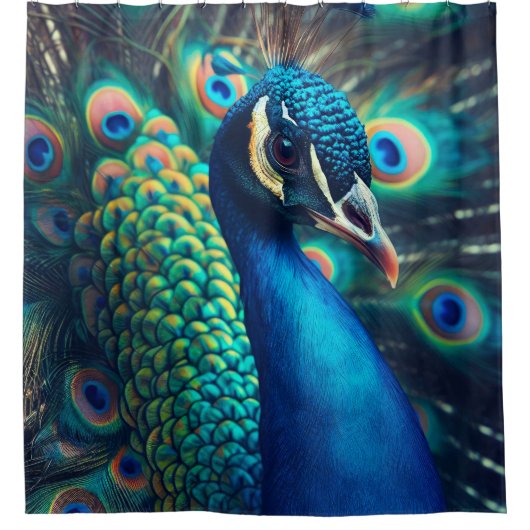 Rideaux De Douche Profil Peacock (Devant)