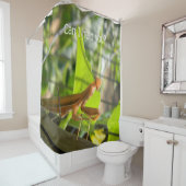 Rideaux De Douche Puis-je vous aider ?... (En situation)