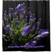 Rideaux De Douche Purple Agapanthus, African Lily Luxe (Devant)