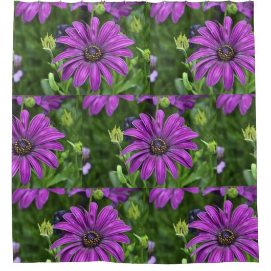 Rideaux De Douche Purple Daisy (Devant)