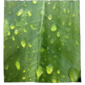 Rideaux De Douche Raindrops sur une feuille (Devant)
