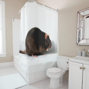 Rideaux De Douche Rat sccn